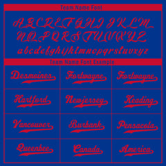 Custom Blue Red Buffalo Jacket Bomber Full-Snap Varsity Letterman Personalized Jacket FZ005SX-D020290-4