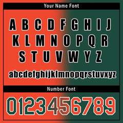 Custom Gradient Fashion Jacket Bomber Full-Snap Varsity Letterman Personalized Jacket FZ005-D028015-6