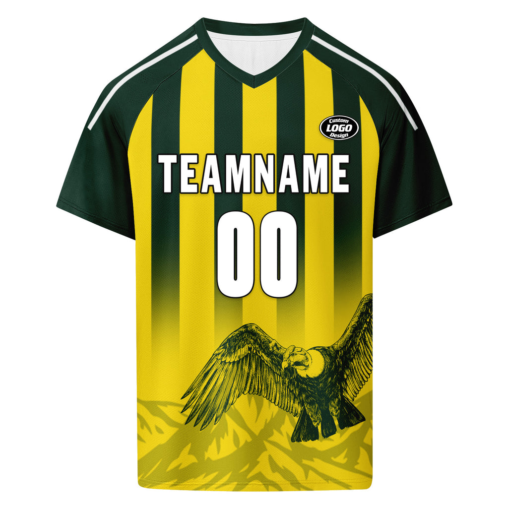Custom Argentina 2026 World Cup Football Shirt Customized Soccer Jersey for Fans Add Your Name & Number FZ190-F007001-08