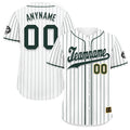 Custom Stripe Fashion Personalized Authentic Baseball Jersey BSBJ01-E025078-12