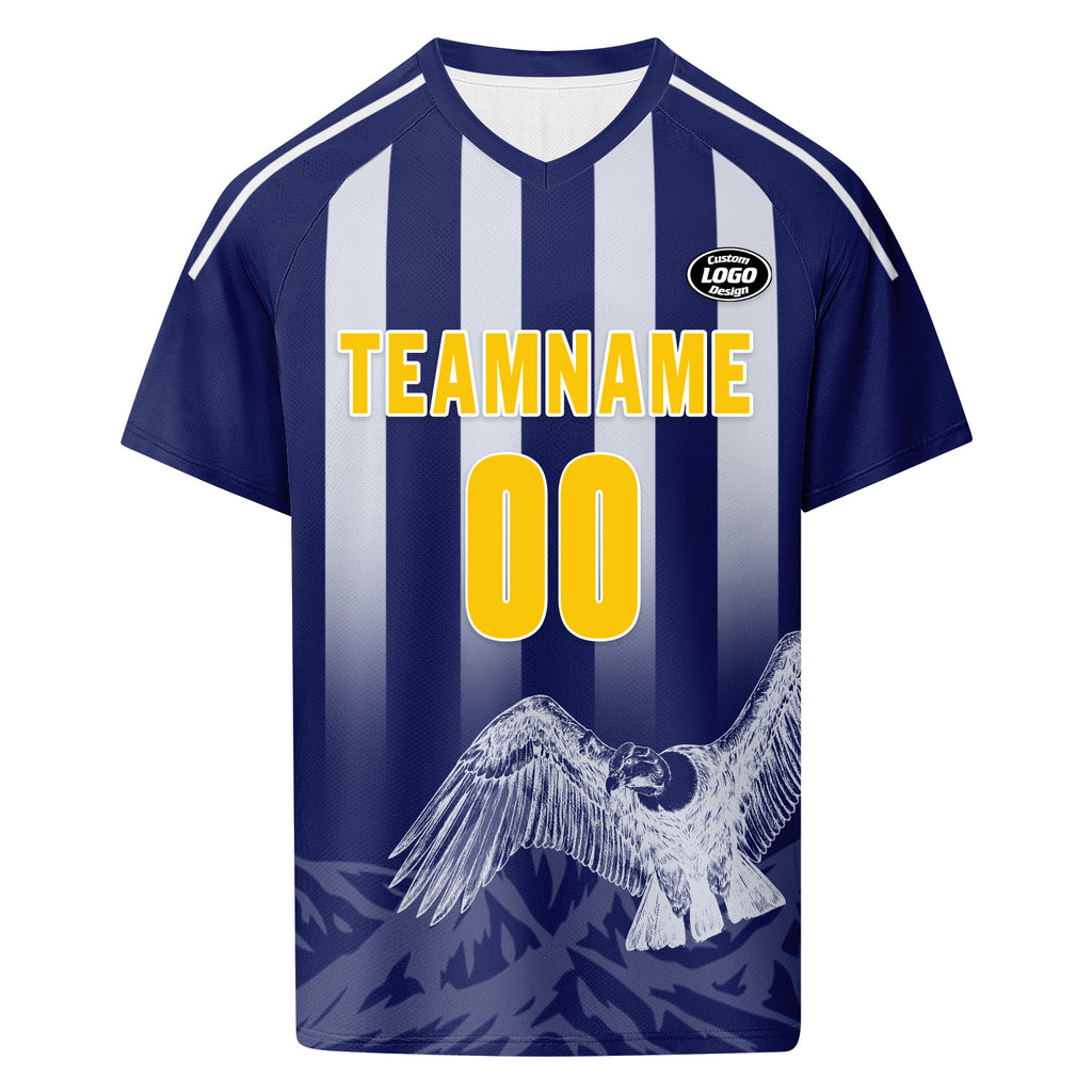 Custom Argentina 2026 World Cup Football Shirt Customized Soccer Jersey for Fans Add Your Name & Number FZ190-F007001-05