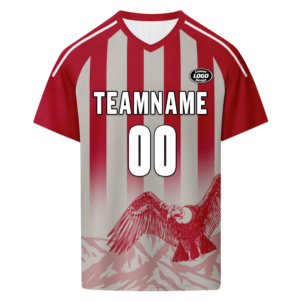 Custom Argentina 2026 World Cup Football Shirt Customized Soccer Jersey for Fans Add Your Name & Number FZ190-F007001-10