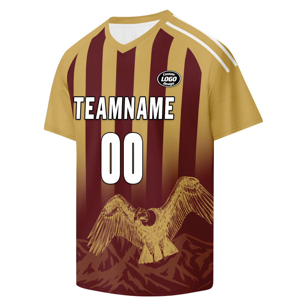 Custom Argentina 2026 World Cup Football Shirt Customized Soccer Jersey for Fans Add Your Name & Number FZ190-F007001-15