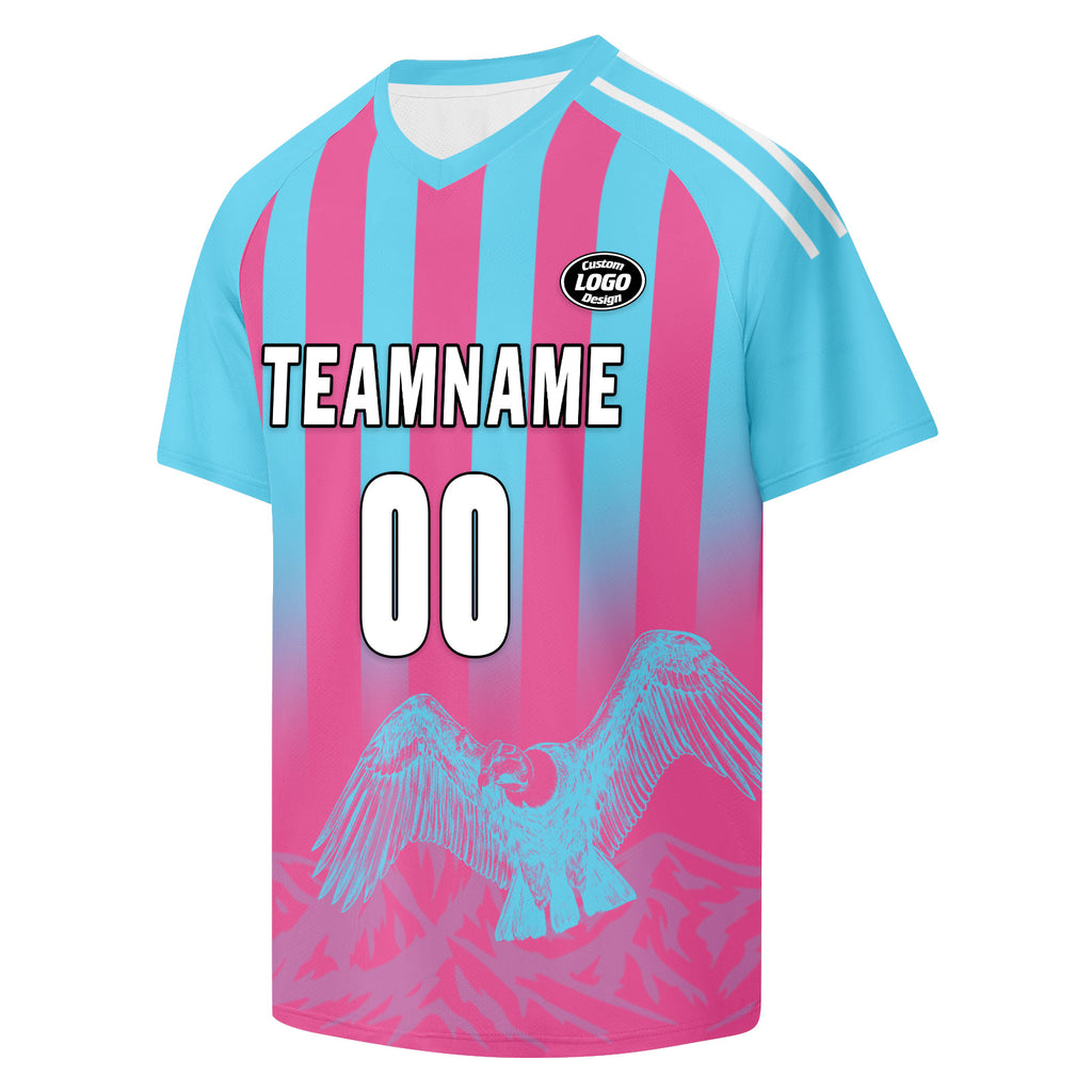 Custom Argentina 2026 World Cup Football Shirt Customized Soccer Jersey for Fans Add Your Name & Number FZ190-F007001-11