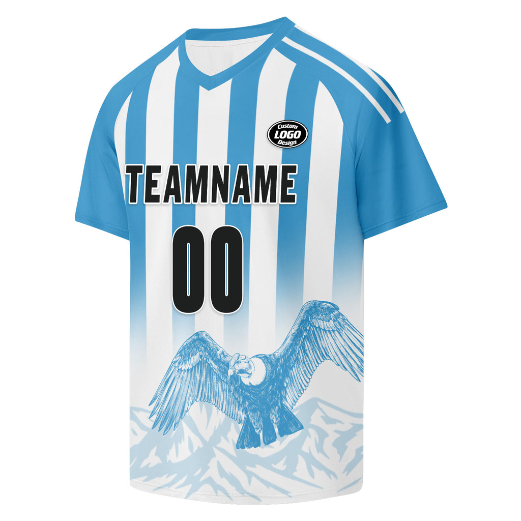 Custom Argentina 2026 World Cup Football Shirt Customized Soccer Jersey for Fans Add Your Name & Number FZ190-F007001-01