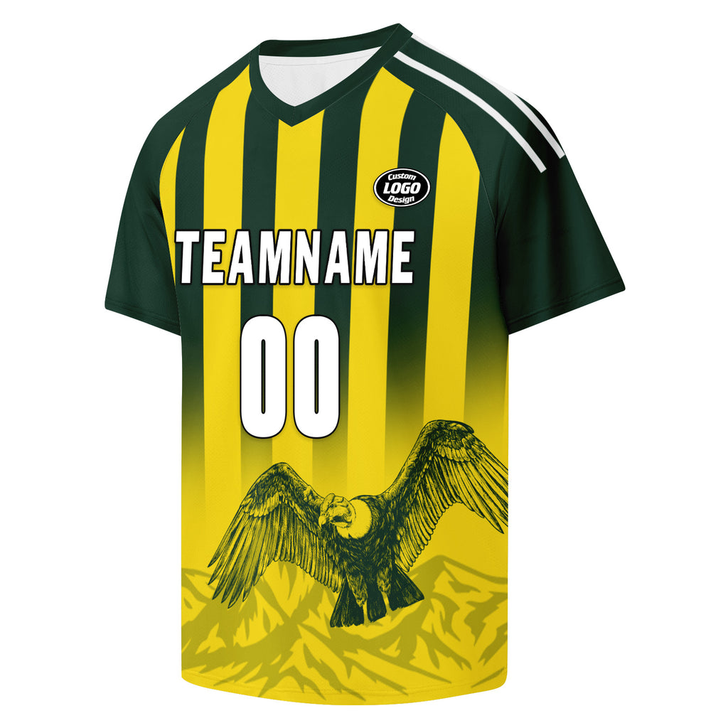 Custom Argentina 2026 World Cup Football Shirt Customized Soccer Jersey for Fans Add Your Name & Number FZ190-F007001-08