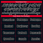 Custom Blue Houston Jacket Bomber Full-Snap Varsity Letterman Personalized Jacket FZ005-D025004-10