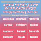 Custom Blue Pink Fade Fashion Jacket Bomber Full-Snap Varsity Letterman Personalized Jacket FZ005-D020229-30