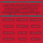 Custom Red Gray Jacket Bomber Full-Snap Varsity Letterman Personalized Jacket FZ005-D020255-4