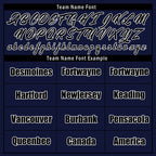 Custom Blue Dallas Jacket Bomber Full-Snap Varsity Letterman Personalized Jacket FZ005-D025004-8