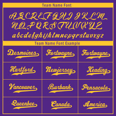 Custom Purple Yellow Minnesota Jacket Bomber Full-Snap Varsity Letterman Personalized Jacket FZ005SX-D020290-17