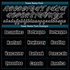 Custom Black Jacksonville Jacket Bomber Full-Snap Varsity Letterman Personalized Jacket FZ005-D025004-17