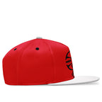 Custom Dark Gray Red Texas MaxSoul Shoes and Hat Combo Offer Personalized Combo ZH-D028017-22