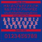 Custom Blue Red Buffalo Jacket and Sports Shoes Combo Offer Personalized Combo ZH-D020294-4