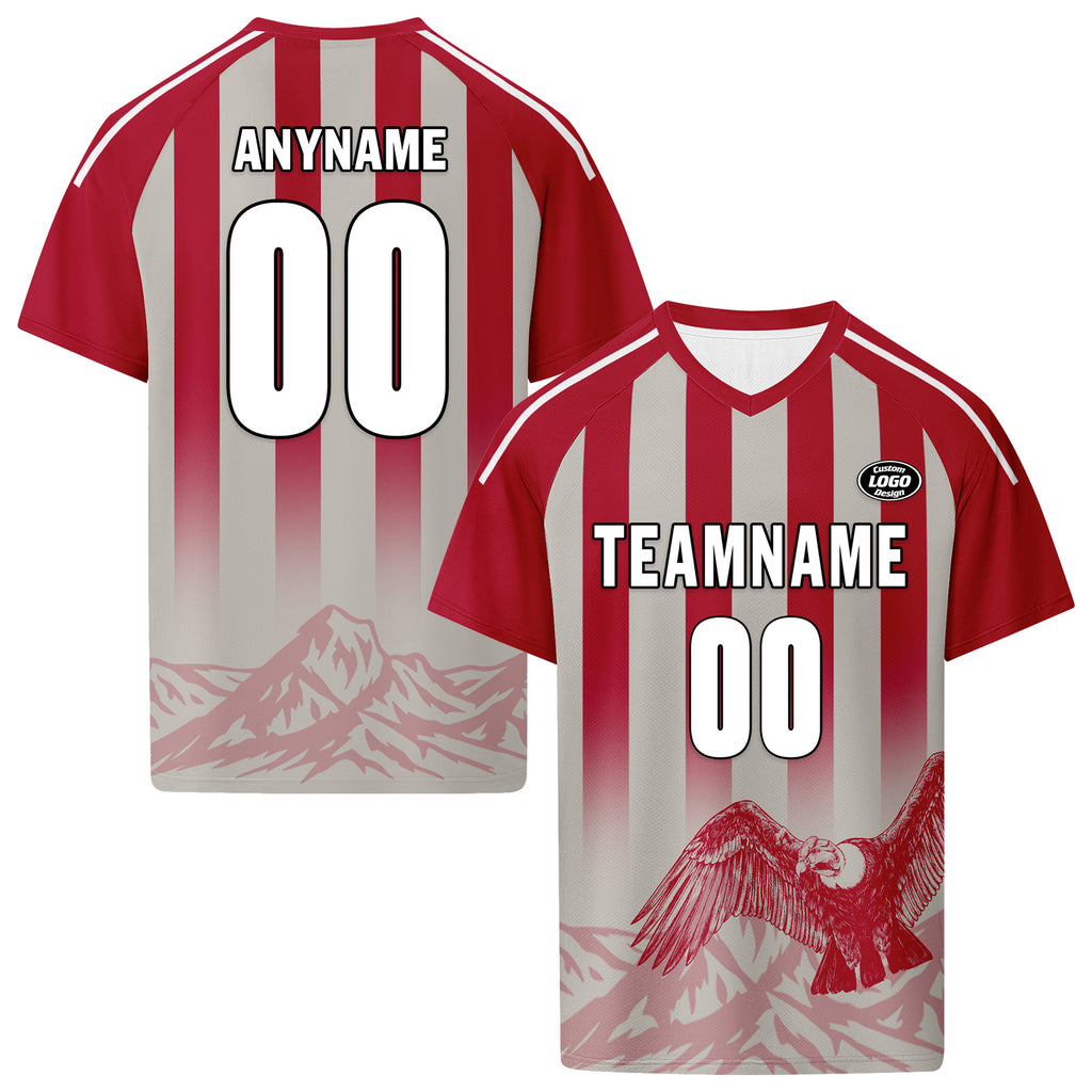 Custom Argentina 2026 World Cup Football Shirt Customized Soccer Jersey for Fans Add Your Name & Number FZ190-F007001-10