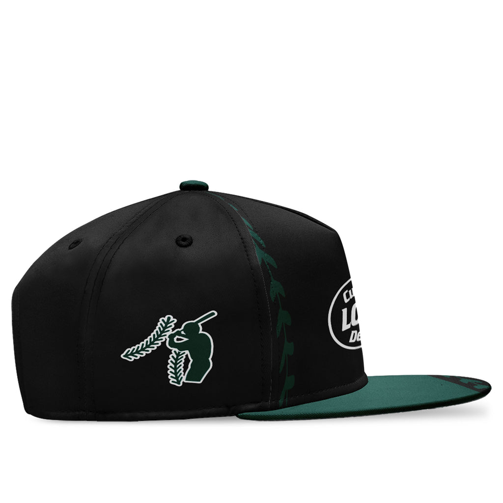 Custom Baseball Jersey and Hat Combo Offer Personalized Combo ZH-E023021-2