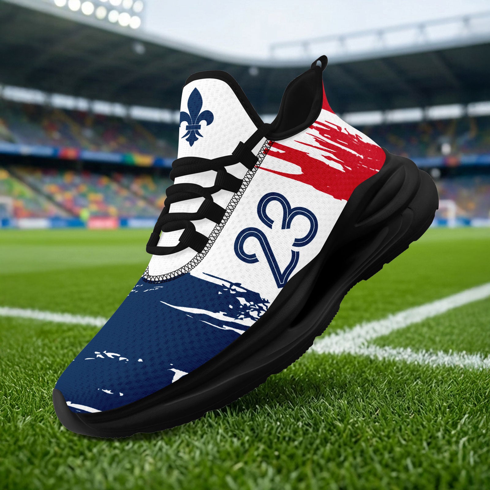 Custom France 2026 World Cup Sneakers DIY Country Flag Running Shoes Lightweight Sport Shoes Gift for Football Fans Personalized Team Name and Logo FN079-F020045-9