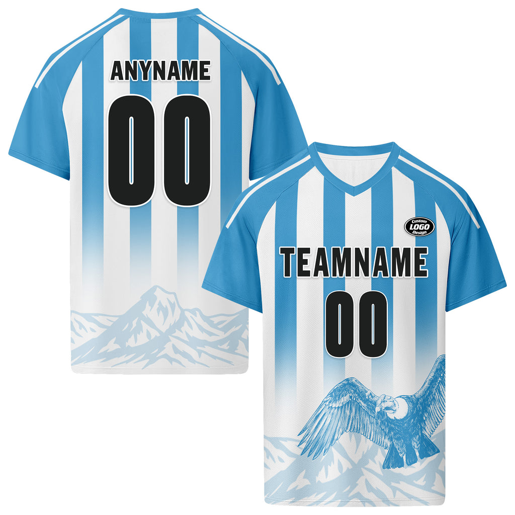 Custom Argentina 2026 World Cup Football Shirt Customized Soccer Jersey for Fans Add Your Name & Number FZ190-F007001-01