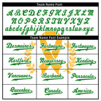 Custom Personalized Authentic Baseball Jersey BSBJ01-E027007