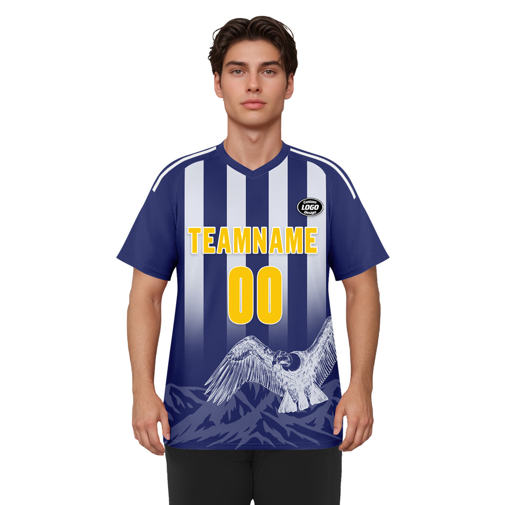 Custom Argentina 2026 World Cup Football Shirt Customized Soccer Jersey for Fans Add Your Name & Number FZ190-F007001-05
