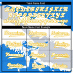 Custom Blue Gold Silver Nicaraguan Flag Personalized Authentic Baseball Jersey BSBJ01-E06022-9