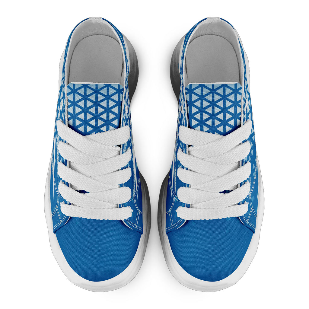 Custom Blue White Michigan Football Jersey and Sports Shoes Combo Offer Personalized Combo ZH-D023031-11