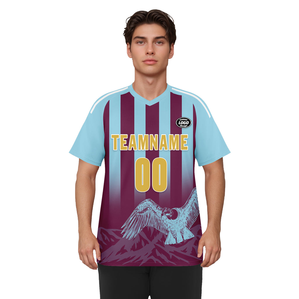 Custom Argentina 2026 World Cup Football Shirt Customized Soccer Jersey for Fans Add Your Name & Number FZ190-F007001-03