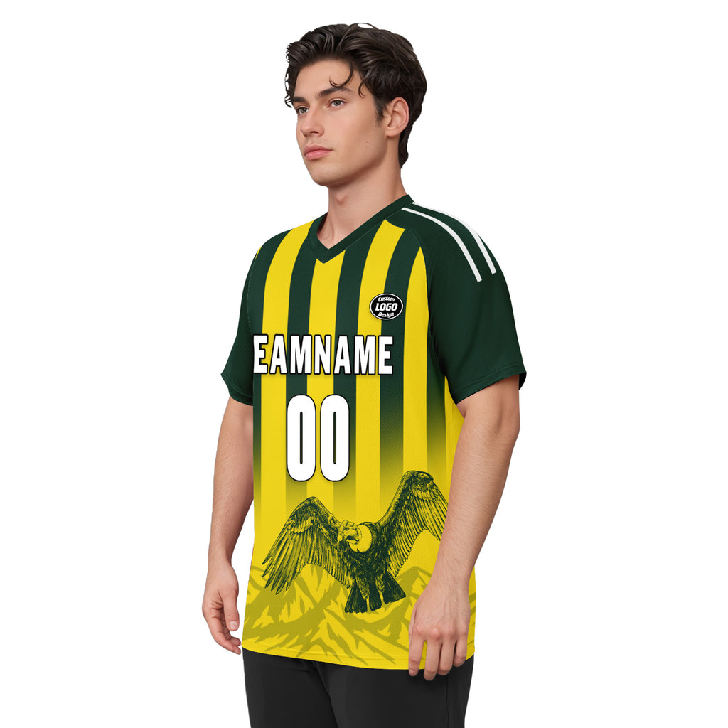 Custom Argentina 2026 World Cup Football Shirt Customized Soccer Jersey for Fans Add Your Name & Number FZ190-F007001-08