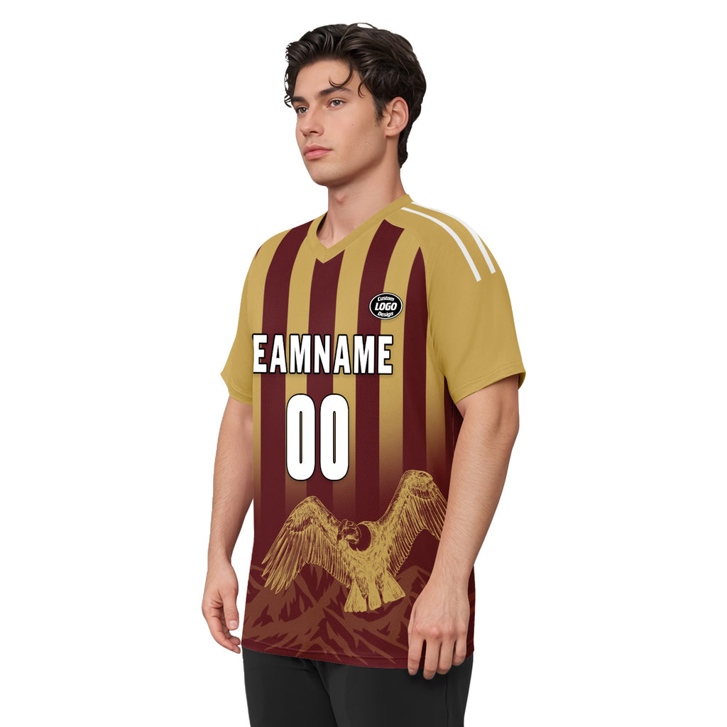 Custom Argentina 2026 World Cup Football Shirt Customized Soccer Jersey for Fans Add Your Name & Number FZ190-F007001-15