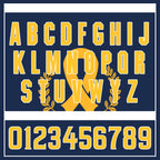 Custom Personalized Authentic Baseball Jersey BSBJ01-E023019-17