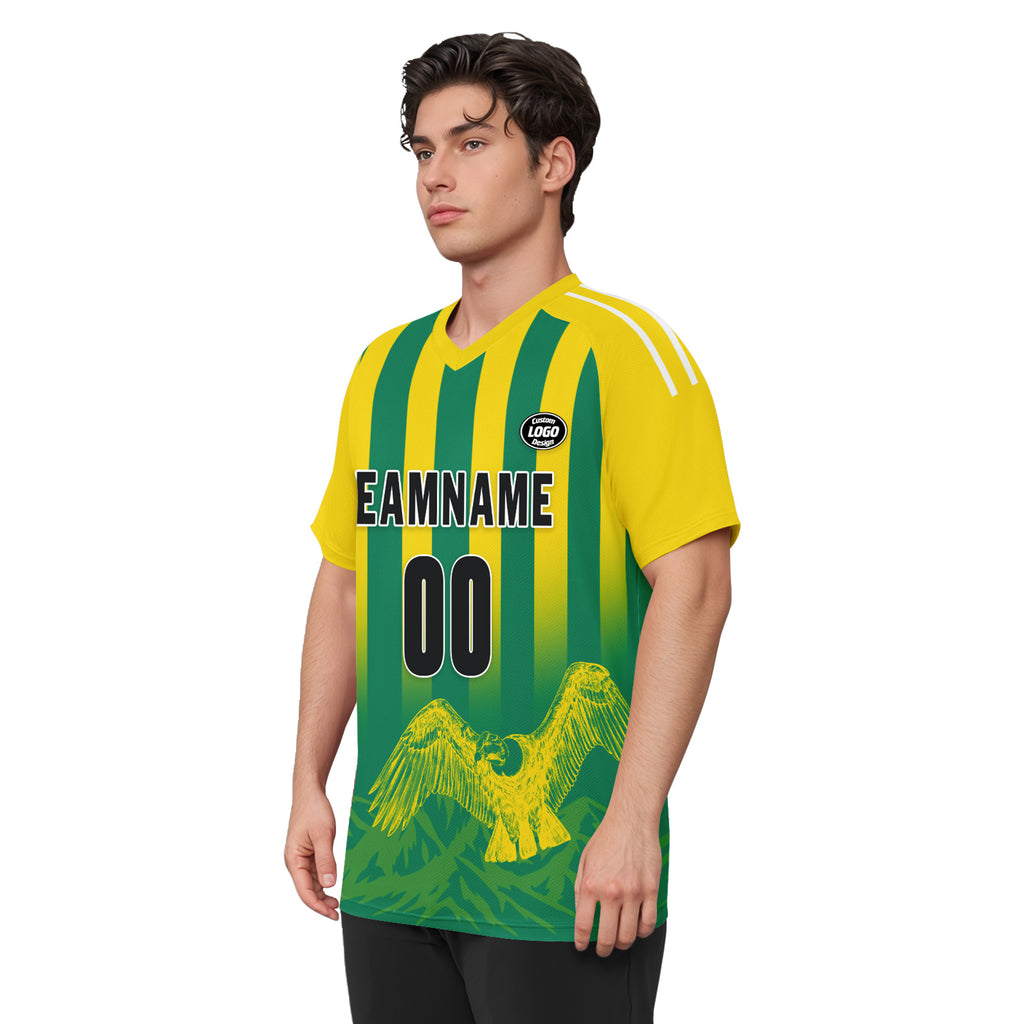 Custom Argentina 2026 World Cup Football Shirt Customized Soccer Jersey for Fans Add Your Name & Number FZ190-F007001-09