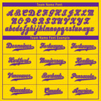 Custom Gold Purple Zebra Pattern Personalized Authentic Baseball Jersey BSBJ01-D020201-14