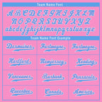 Custom Pink Blue Zebra Pattern Personalized Authentic Baseball Jersey BSBJ01-D020201-18