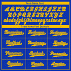 Custom Blue Yellow Zebra Pattern Personalized Authentic Baseball Jersey BSBJ01-D020201-16