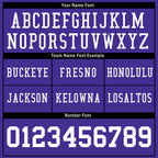 Custom Purple Minnesota Personalized Authentic Football Jersey FBJ02-E0601-6