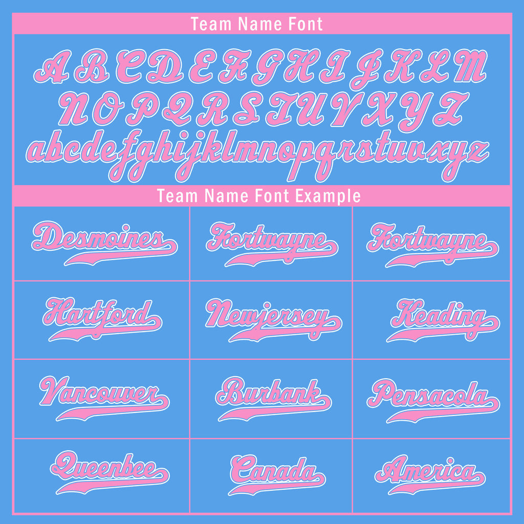 Custom Blue Pink Zebra Pattern Personalized Authentic Baseball Jersey BSBJ01-D020201-17