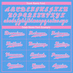 Custom Blue Pink Zebra Pattern Personalized Authentic Baseball Jersey BSBJ01-D020201-17