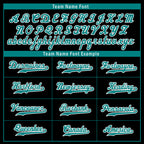 Custom Black Teal Zebra Pattern Personalized Authentic Baseball Jersey BSBJ01-D020201-23