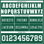Custom Green New York Personalized Authentic Football Jersey FBJ02-D020263-28