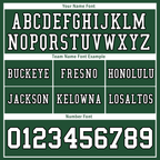 Custom Green Classic Style Personalized Authentic Football Jersey FBJ02-bd0a70a9