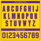Custom Gold Purple Zebra Pattern Personalized Authentic Baseball Jersey BSBJ01-D020201-14