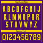 Custom Purple Gold Stripe Fashion Personalized Authentic Baseball Jersey BSBJ01-D017220