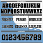Custom Argentina 2026 World Cup Football Shirt Customized Soccer Jersey for Fans Add Your Name & Number FZ190-F027084-3