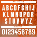 Custom Orange Classic Style Personalized Authentic Baseball Jersey BSBJ01-D020160-4