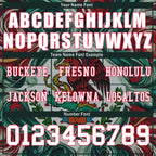 Custom Mexico 2026 World Cup Football Shirt Customized Soccer Jersey for Fans Add Your Name & Number FZ190-F020057-3