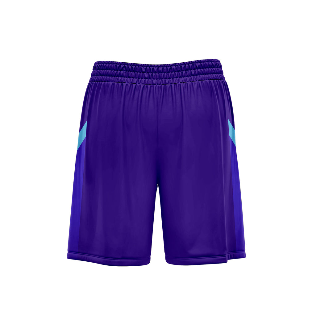 Custom Purple City Edition Personalized Sports Uniform Authentic Basketball Jersey BBJ01-D06101-29