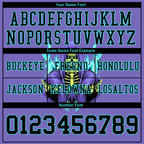 Custom Purple Skull Fashion Black Personalized Authentic Football Jersey FBJ02-bc0fbad