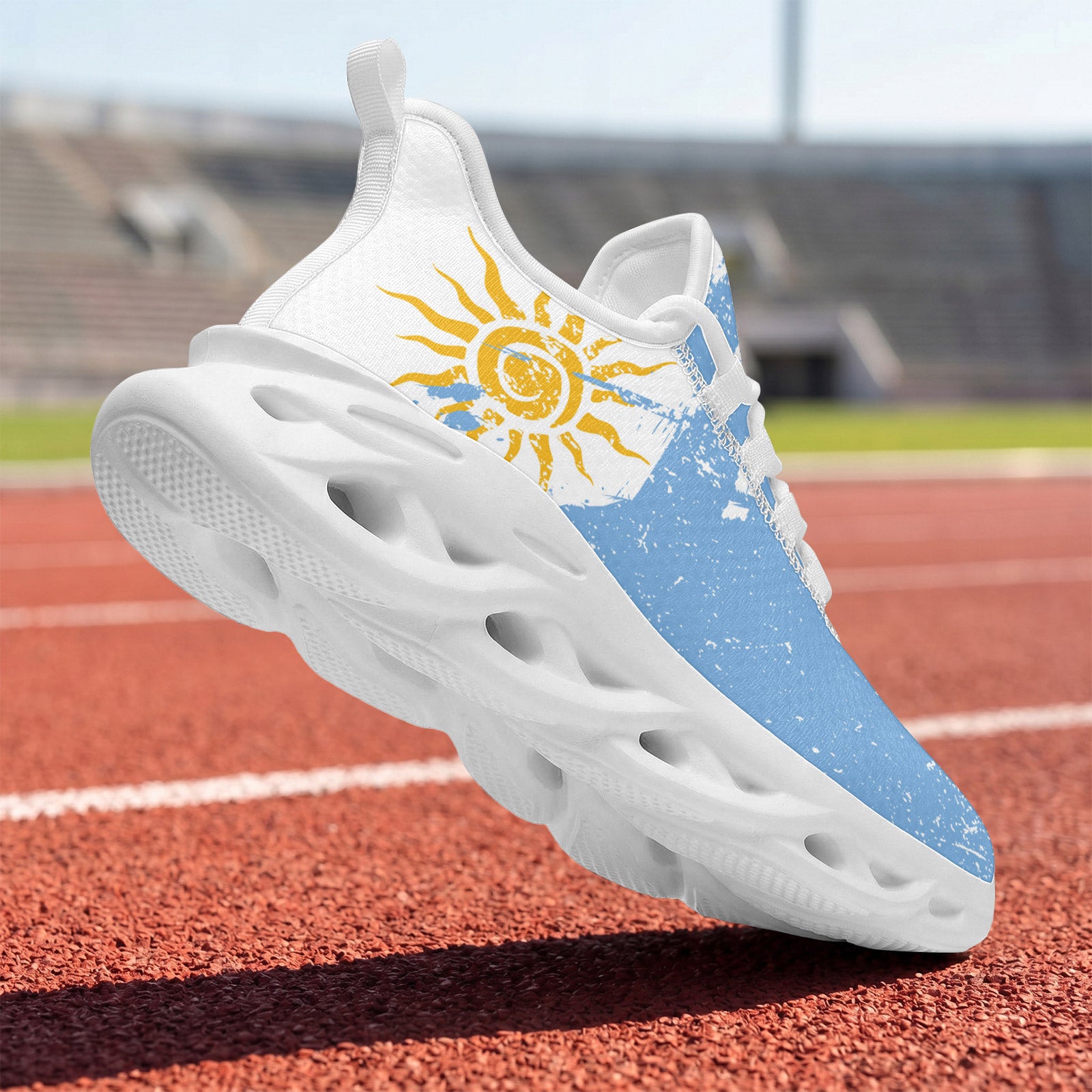 Custom Argentina 2026 World Cup Sneakers DIY Country Flag Running Shoes Lightweight Sport Shoes Gift for Football Fans Personalized Team Name and Logo FN003-F009152-5