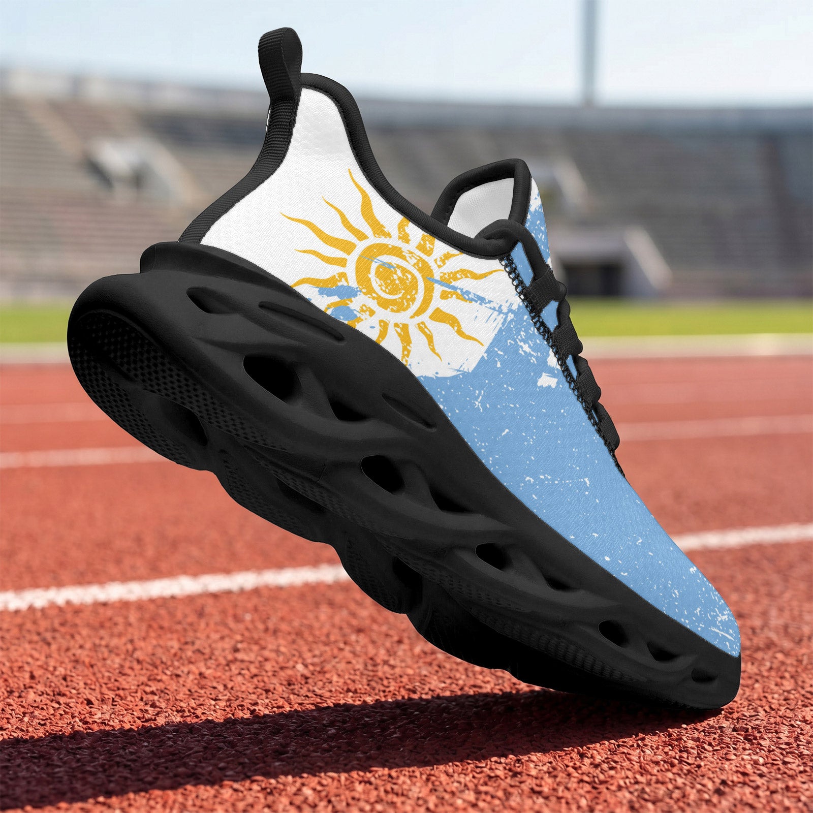 Custom Argentina 2026 World Cup Sneakers DIY Country Flag Running Shoes Lightweight Sport Shoes Gift for Football Fans Personalized Team Name and Logo FN003-F009152-5