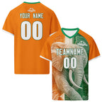 Custom Ivory Coast 2026 World Cup High Quality Soccer Stadium Version Jersey Sneakers Sports Shoes and Hat Combo Offer Personalized Team Name and Logo ZH-F007055-007